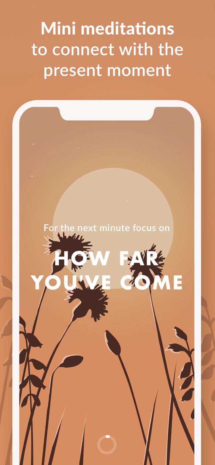 Wild Journey - app screenshot